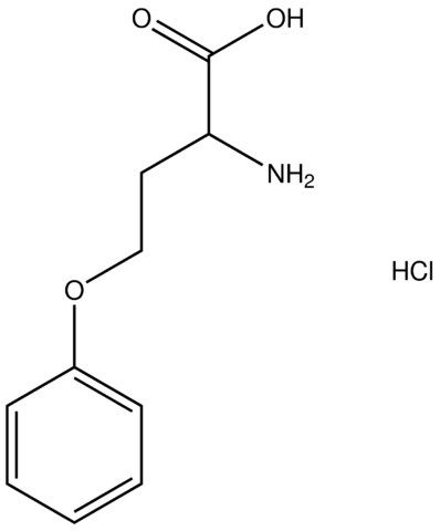 2-amino-4-phenoxybutanoic acid hydrochloride