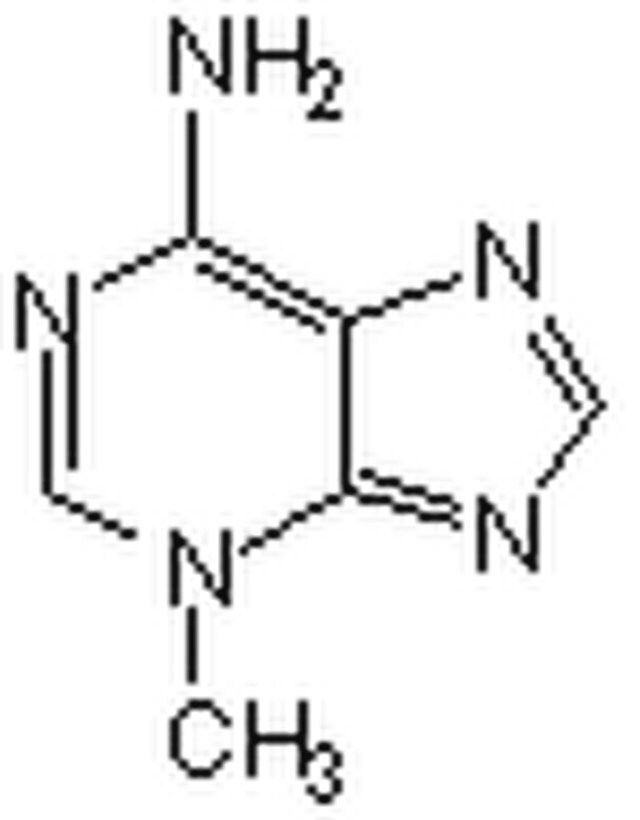 Autophagy Inhibitor, 3-MA-CAS 5142-23-4-Calbiochem