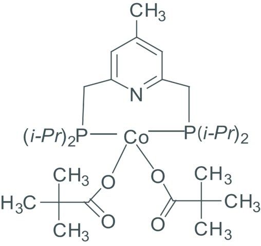 Bis[[diisopropylphosphino]methyl]-4-methyl-pyridine bis(pivaloyloxy)cobalt