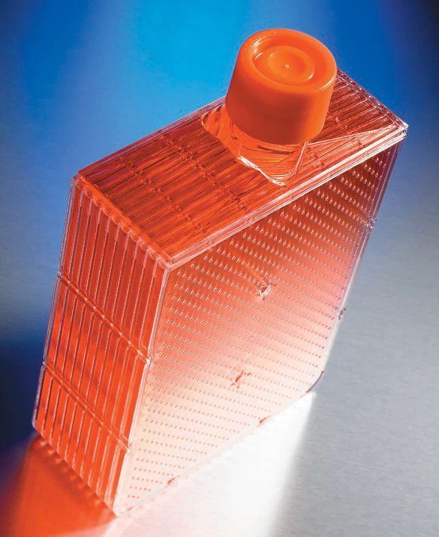 Corning<sup>®</sup> CellBIND<sup>®</sup> Surface HYPER<i>Flask</i><sup>®</sup> cell culture vessels