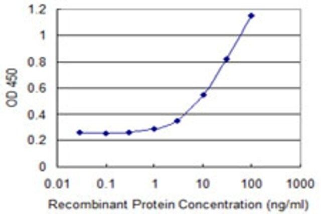 Monoclonal Anti-ZSWIM2 antibody produced in mouse