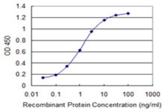 Monoclonal Anti-SLC19A3 antibody produced in mouse