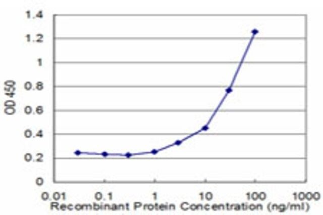 Monoclonal Anti-DTNB, (N-terminal) antibody produced in mouse
