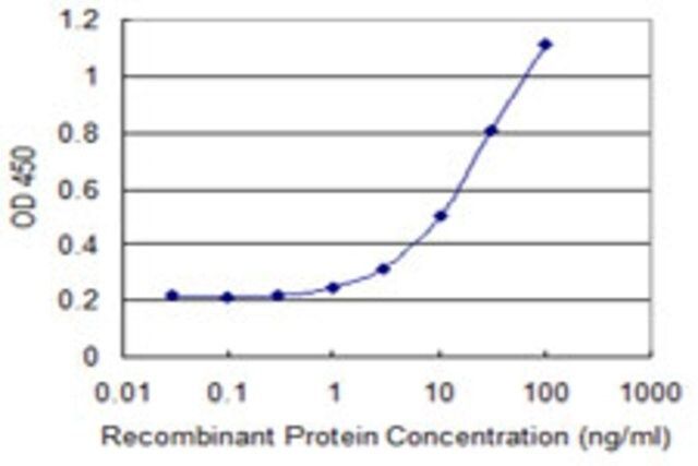 Monoclonal Anti-C7ORF10, (C-terminal) antibody produced in mouse