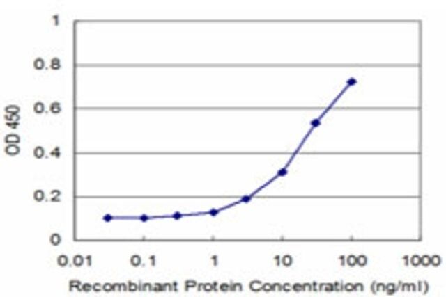 Monoclonal Anti-CTDSP2, (N-terminal) antibody produced in mouse