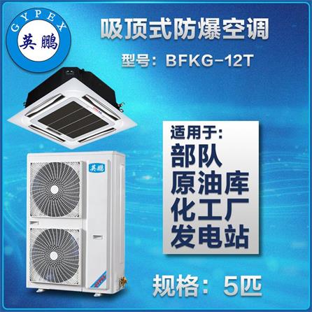 英鹏吸顶式防爆空调BFKG-12图片