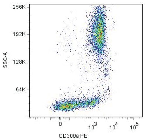 Monoclonal Anti-CD300A-PE antibody produced in mouse