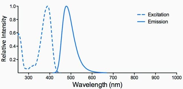 Monoclonal Anti-7-Ketocholesterol-Atto 390 antibody produced in mouse