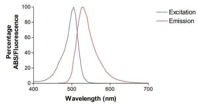 Monoclonal Anti-Ataxin-Atto 488 antibody produced in mouse