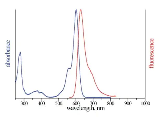 Monoclonal Anti-Ataxin 1-Atto 594 antibody produced in mouse