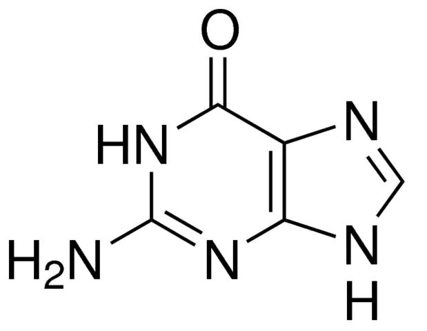 Guanine
