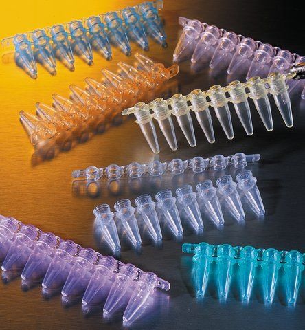 Corning<sup>®</sup> Thermowell PCR 8 well strip tubes with caps