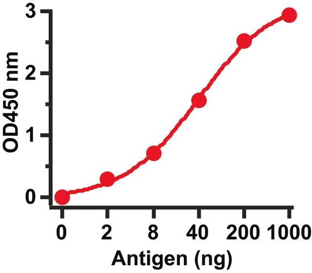 Anti-SARS-CoV Matrix antibody produced in rabbit