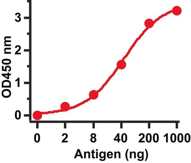 Anti-SARS-CoV Envelope antibody produced in rabbit