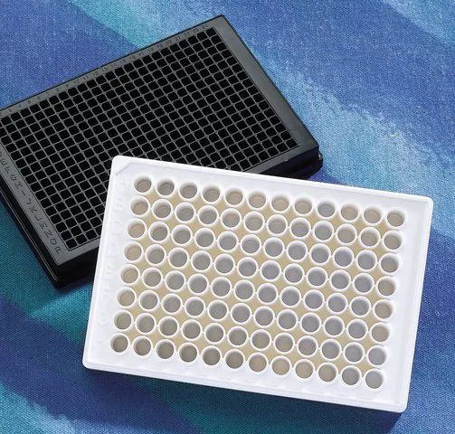 Corning<sup>®</sup> 96 well NBS<sup>TM</sup> Microplate