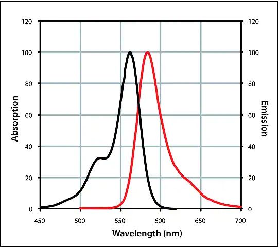 Anti-Mouse IgG (H+L), highly cross-adsorbed, CF<sup>TM</sup> 568 antibody produced in rabbit