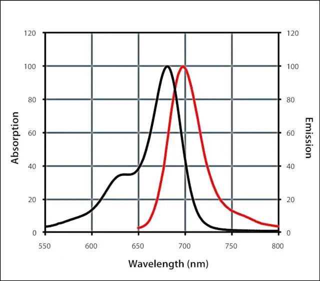 Anti-Mouse IgG (H+L), highly cross-adsorbed, CF<sup>TM</sup> 680 antibody produced in rabbit