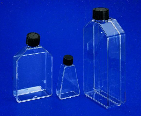 Corning<sup>®</sup> Costar<sup>®</sup> cell culture flasks