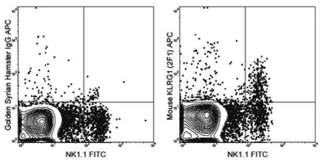Anti-KLRG1 Antibody (mouse), APC, clone 2F1