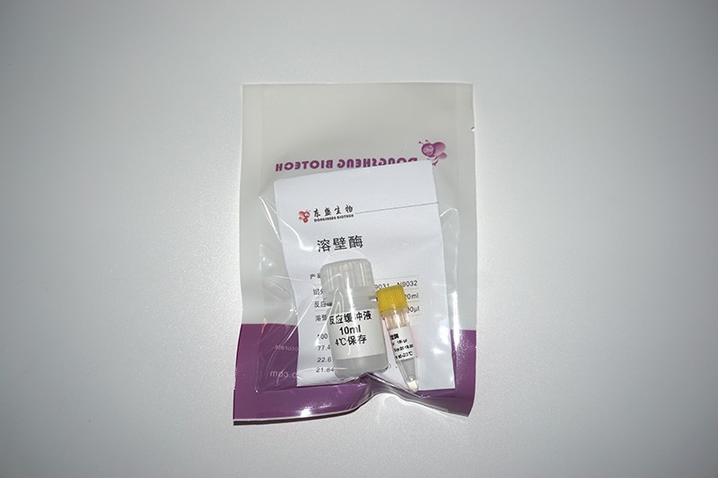溶壁酶图片