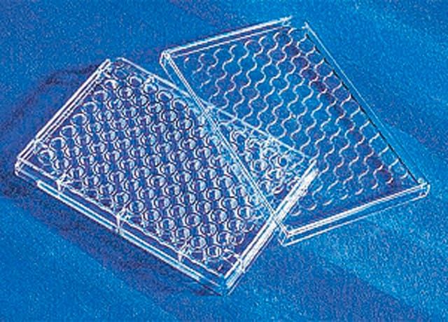 Corning<sup>®</sup> 96 Well CellBIND<sup>®</sup> Microplates