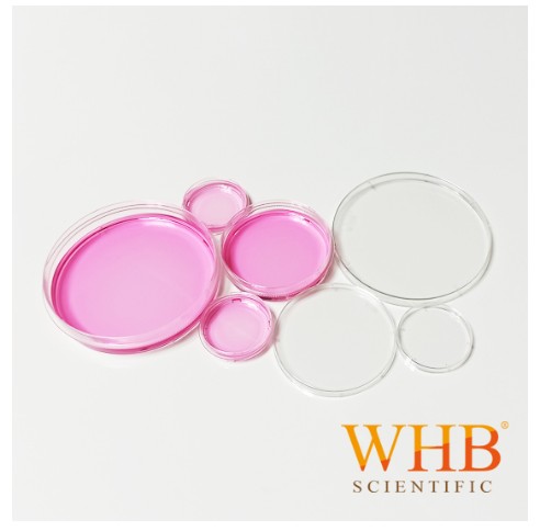 WHB-35细胞培养皿图片
