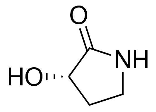 (S)-3-hydroxy-pyrrolidin-2-one