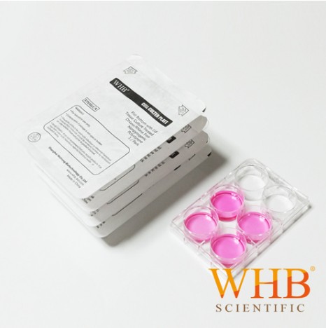 WHB-6细胞培养板图片