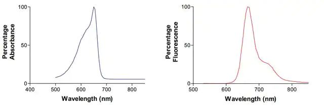 Monoclonal Anti-Atf4-Apc antibody produced in mouse