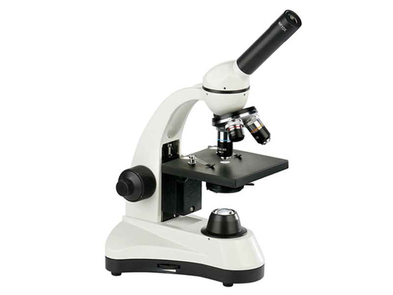 L790生物显微镜图片