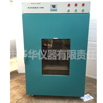 DHG-9620电热鼓风干燥箱图片