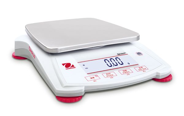SPX6201便携式电子天平Scout SPX图片