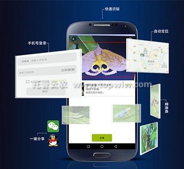 见虫(昆虫识别APP)图片