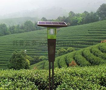 TPSC-8Z联网风吸式茶园杀虫灯图片
