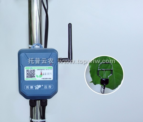 TPSAR-LT叶面温度传感器图片