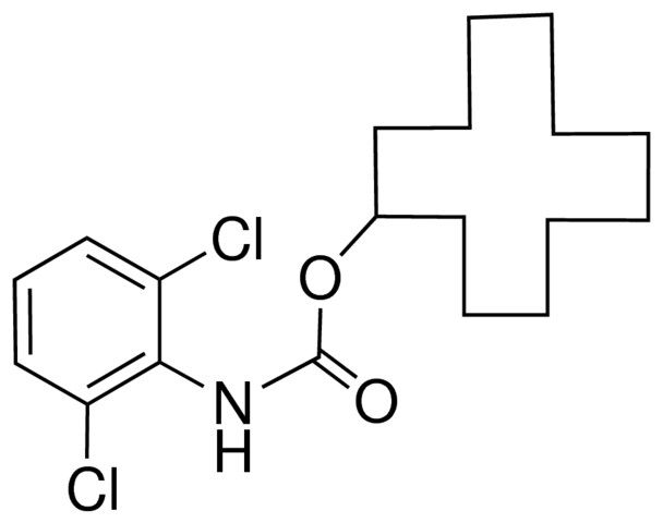 CYCLODODECYL N-(2,6-DICHLOROPHENYL)CARBAMATE