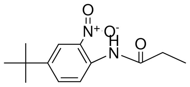 N-(4-TERT-BUTYL-2-NITRO-PHENYL)-PROPIONAMIDE