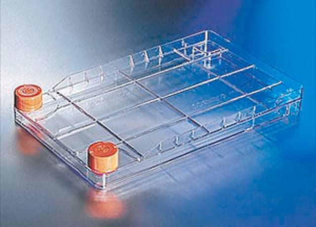 Corning<sup>®</sup> CellBIND<sup>®</sup> Surface CellSTACK<sup>®</sup> cell culture chambers