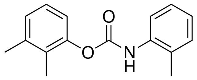 2,3-XYLYL N-(O-TOLYL)CARBAMATE