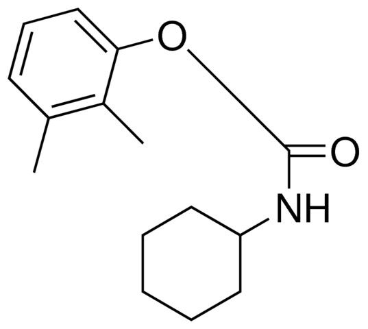 2,3-XYLYL N-CYCLOHEXYLCARBAMATE