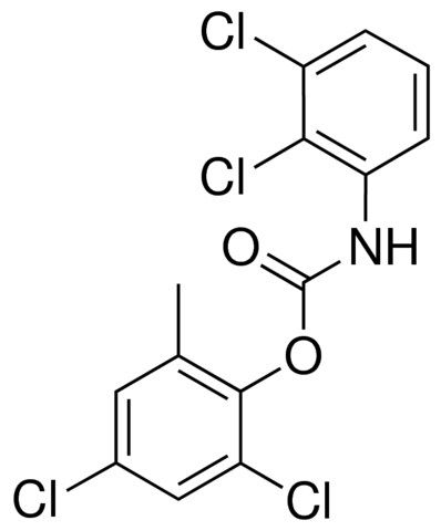 2,4-DICHLORO-6-METHYLPHENYL N-(2,3-DICHLOROPHENYL)CARBAMATE