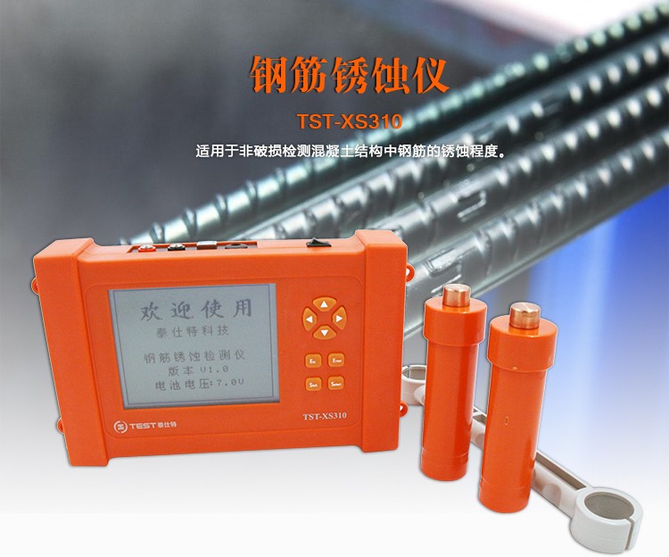 钢筋锈蚀检测仪TST-XS310图片