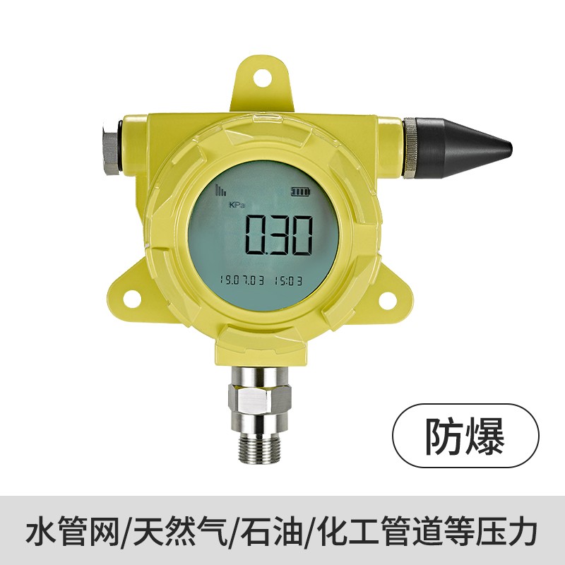 防爆型无线压力表图片