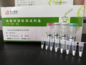 新型冠状病毒核酸检测试剂盒(科研)图片