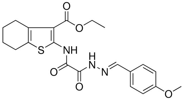 ETHYL 2-{[[(2E)-2-(4-METHOXYBENZYLIDENE)HYDRAZINO](OXO)ACETYL]AMINO}-4,5,6,7-TETRAHYDRO-1-BENZOTHIOPHENE-3-CARBOXYLATE