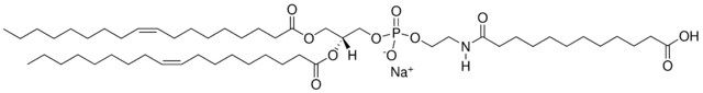 18:1 Dodecanyl PE