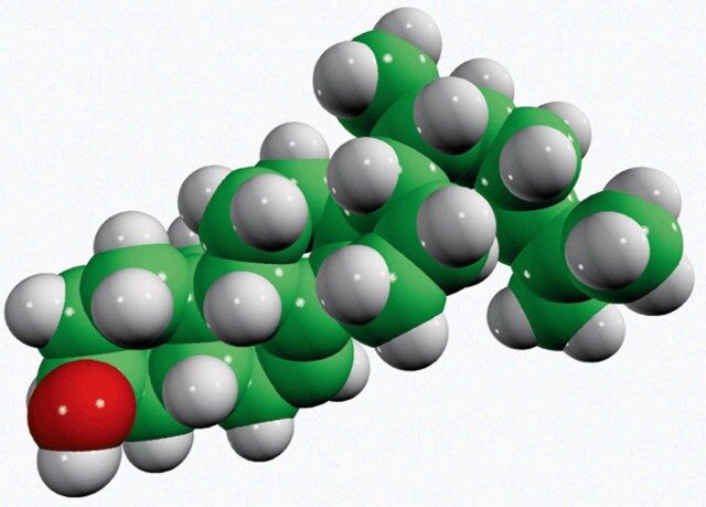 5α-7,24-cholestadiene