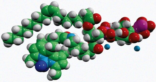 TopFluor<sup>®</sup> PI(4)P