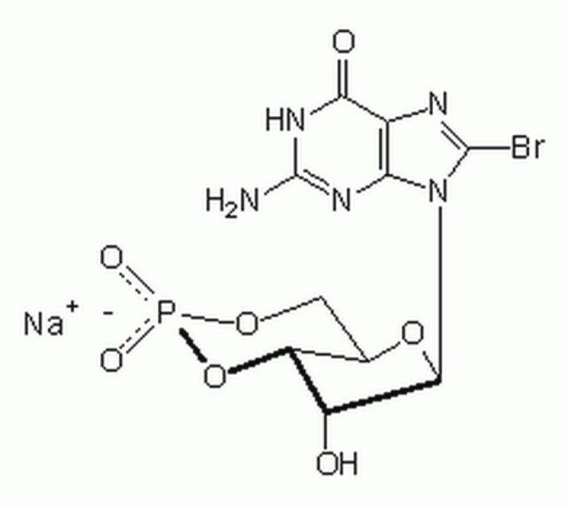 Guanosine 3',5'-cyclic Monophosphate, 8-Bromo-, Sodium Salt-CAS 51116-01-9-Calbiochem