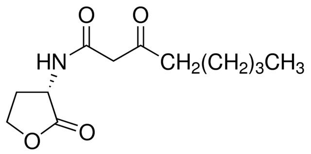 N-(3-Oxooctanoyl)-L-homoserine lactone
